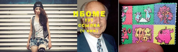 мдпв Горнозаводск