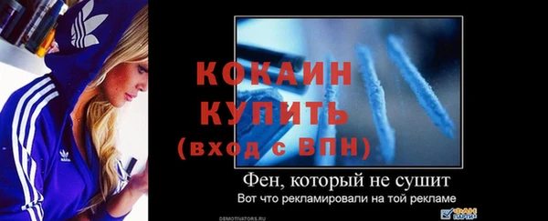мдпв Горнозаводск
