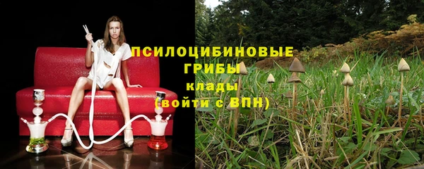 мдпв Горнозаводск